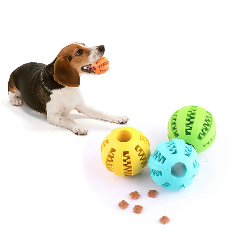 Dog Ball Toys for Small Dogs Interactive Puppy