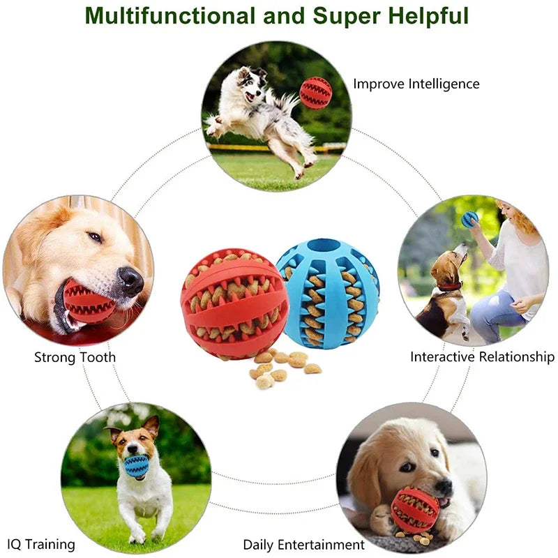 Dog Ball Toys for Small Dogs Interactive Puppy