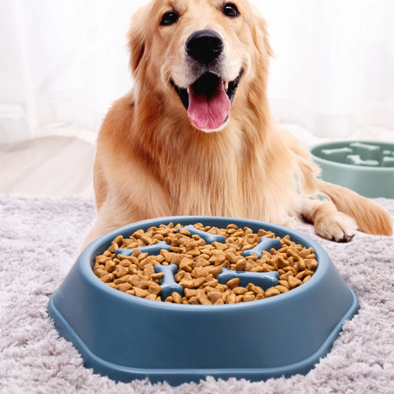 Pet Slow Food Bowl Anti-choking Feeder PP