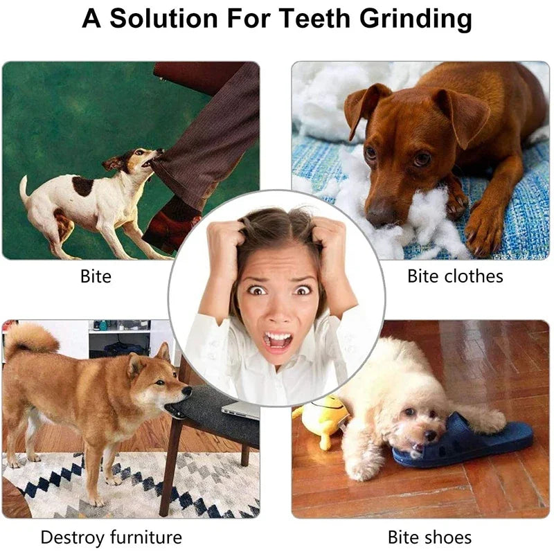 Dog Ball Toys for Small Dogs Interactive Puppy