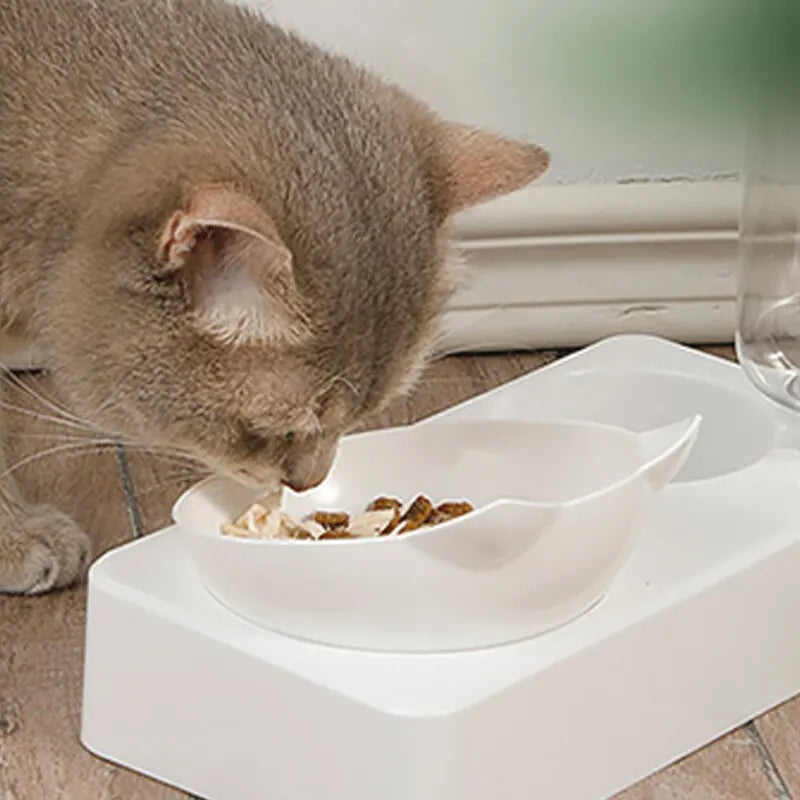 Pet Bowl 15 Degrees Tilt to Protect Cervical