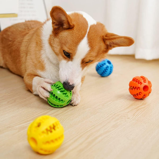 Dog Ball Toys for Small Dogs Interactive  Puppy