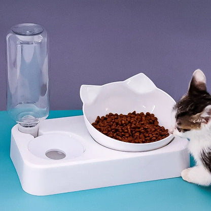 Pet Bowl 15 Degrees Tilt to Protect Cervical