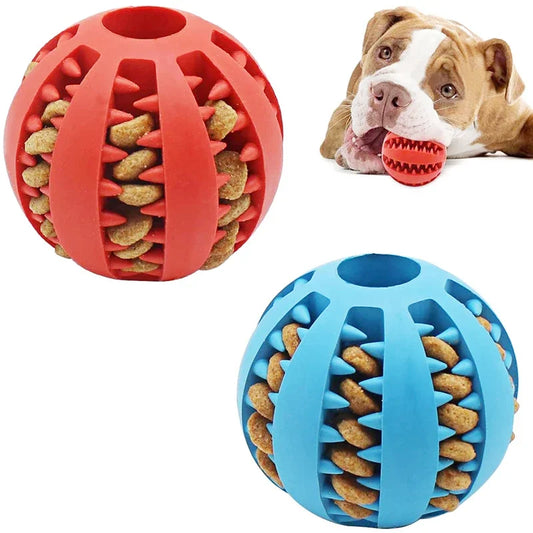Dog Ball Toys for Small Dogs Interactive  Puppy