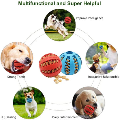 Dog Ball Toys for Small Dogs Interactive  Puppy