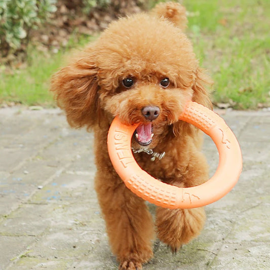 1pc Orange Dog Toys Pet Flying Disk Training