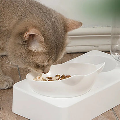 Pet Bowl 15 Degrees Tilt to Protect Cervical